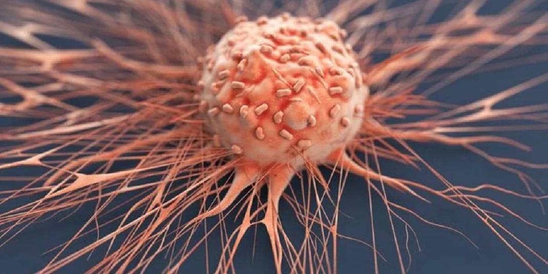 Kısa boylular yaşadı, uzun boylulara ise kötü haber! O hastalığa yakalanma riskleri daha yüksek çıktı 2